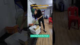 Vẫn bay đều mỗi ngày nhé anh em/0347477207