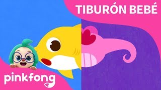 ¿Has Visto la Colita de Tiburón? | Canta con Tiburón Bebé | Pinkfong Canciones Infantiles