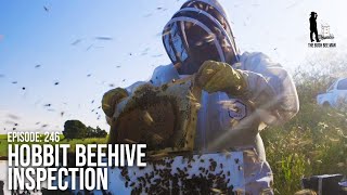Removing Beehives & Saving Bees: What Happens After a Honey Bee Rescue | The Bush Bee Man