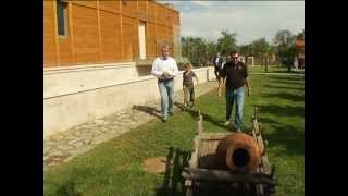 Grape Harvesting in Kvareli