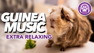 EXTRA RELAXING Music for Guinea Pigs - Soothe and Calm INSTANTLY 🎶