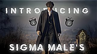 INTODUCING SIGMA MALE'S || SIGMA MALE EDIT || SIGMA MALE STATUS || THOMASSHELBY