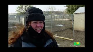 animal cops Houston s9e3