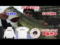 【最強】ベイトリールへのラインの結び方・巻き方 fishing knots