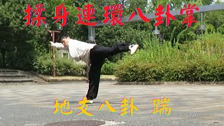 【Gao Style Baguazhang】 64 Palms Form Chuai