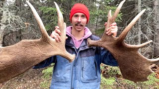 Finding HUGE MOOSE ANTLERS!!!