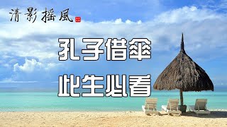 孔子借傘，此生必看【清影搖風】佛禪智慧經典美文，每晚深夜讀書給您聽！