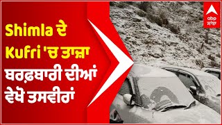 Shimla ਦੇ Kufri 'ਚ ਤਾਜ਼ਾ ਬਰਫ਼ਬਾਰੀ ਦੀਆਂ ਵੇਖੋ ਤਸਵੀਰਾਂ | Narkanda | Snowfall | @abpsanjha