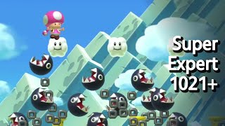 Super Expert Endless 1021+ Clears in Mario Maker 2