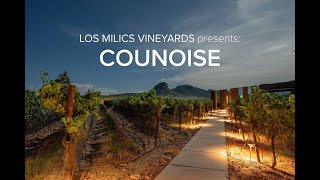 LMV Grapes: Counoise