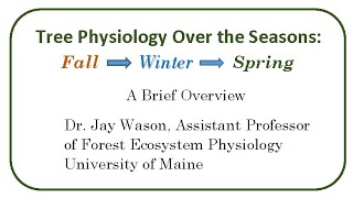 Tree Physiology Over the Seasons