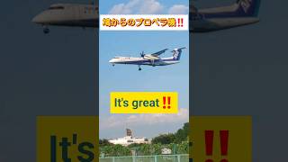 【鳩からのプロペラ機‼️😲】#ANA #plane #飛行機 #飛行場 #비행기 #shorts #伊丹空港 #迫力 #JAL #千里川土手