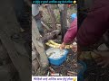 अर्ग्यानिक उखुको जुस पेल्ने तरिका 🤤 ytshorts video short nepal