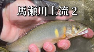 馬瀬川上流 【鮎釣り】