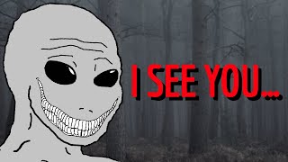 Reddit Humanoid Encounters