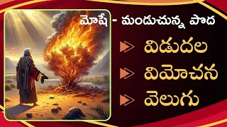 21.07.2024 ||🔴||మోషే- మండుచున్న పొద ||El-Shaddai Faith Ministries Message Live ||