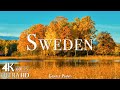 Sweden 4K Autumn Aerial Film - Calming Piano Music - Natural Landscape