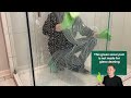 how to clean glass shower doors like a pro