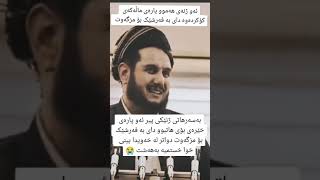 بەسەرهاتی ژنێکی پیر فەرشێکی بۆ مزگەوت کڕی دواتر لە خەویدا بینی خوا خستیە بەهەشت - م. سەلیم شوشکەیی