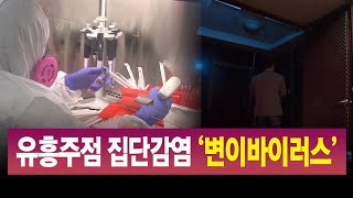 R]유흥업소 집단감염 '영국변이바이러스' / 안동MBC