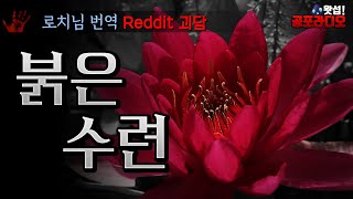 붉은 수련 -그 무엇보다 깊고 선명한 색에 눈을 뗄 수 없었다. ｜왓섭! 공포라디오