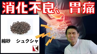 【漢方】縮砂（シュクシャ）１分で分かる生薬解説