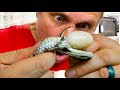 WHAT IS COMING OUT OF MY SNAKE?? | BRIAN BARCZYK