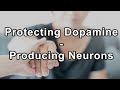 Protecting Dopamine-Producing Neurons: The Impact of Food and Contaminants - Steve Blake