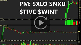 $XLO $NXU $TIVC $WINT PM Hot Stocks Replay 2-12-2025 Top Stocks Recap