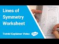 Exploring Our Lines of Symmetry Worksheet