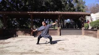 Shaolin Dharma Cane 达摩杖 - part 01