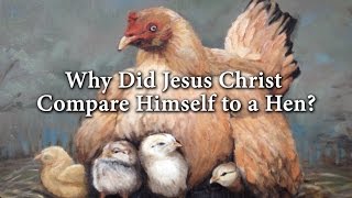 Why Did Jesus Christ Compare Himself to a Hen? (Knowhy #200)