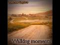 Thomas Hagfors - Walking Moments (Siewerts kurvmix)
