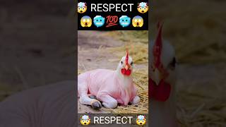 Respect 😱🥶💯youtubeshorts #ytshots #respect #tiktok #amazing #trending #phonk #music #ytrespect62