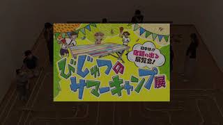 浜田市世界こども美術館／びじゅつのサマーキャンプ展『ドミノでつくる計算機』