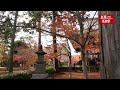 【4k】京都 真如堂 紅葉2021