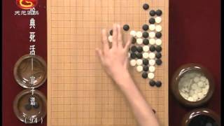 方天丰围棋经典死活：官子谱94