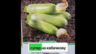 Насіння Кабачків на cultiva.com.ua