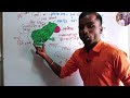 प्राणियों में संरचनात्मक संगठन class 11th biology chapter 7 anatomy of frog neet biology