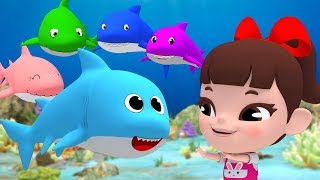 Baby Shark | Kids Songs and Nursery Rhymes | Animal Songs from LimeAndToys
