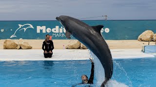 A Family Friendly Tour at Mediterraneo Marine Park in Malta: Dolphin, Parrot, Turtle and More!