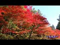 錦秋の世界遺産・平泉 （2012 11 07 岩手県平泉町・中尊寺・毛越寺）