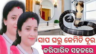 ଘରୁ କେମିତି ସାପକୁ ବାହାର କରିବେ |How To Get Rid Snake In House