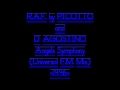 R.A.F. by PICOTTO and D' AGOSTINO - Angels Symphony (Universal F.M. Mix) -1996-