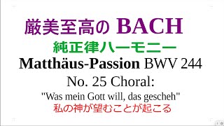 厳美至高の BACH純正律ハーモニ   Matthäus Passion BWV 244   No  25 Choral