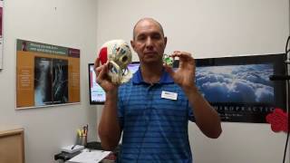 Markham Chiropractor talks about ATLAS and why its vital to your health!