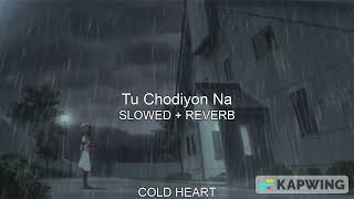 Tu Chodiyon Na (SLOWED + REVERB) | Ronit Vinta | COLD HEART