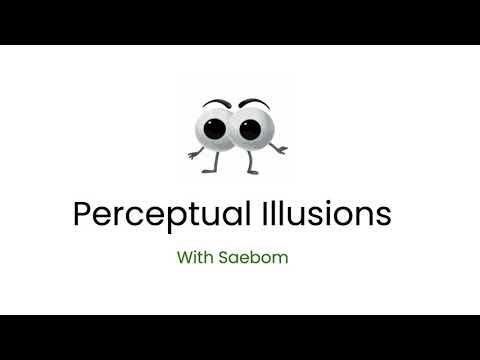 What are the types of perceptual illusion?