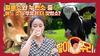 얼룩소와 누런소 중 어느 소의 우유가 더 맛있소? [팔아주리] EP.2-3 서울우유 목장 편