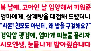 (반전신청사연)복날에 고아인 날입양해준 엄마에게 삼계탕 한그릇 대접해 드렸더니 \